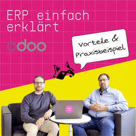 Zwei Männer sitzen an einem Tisch mit einem Laptop, auf dem ein rosa Sticker mit der Aufschrift „ERP einfach erklärt“ zu sehen ist. Im Hintergrund steht das Wort „Vorteile & Praxisbeispiel“ in einer Sprechblase. Die Szenerie wird von einer grafischen Hintergrundgestaltung in Pink und Gelb sowie einem stilisierten Tierkopf ergänzt.