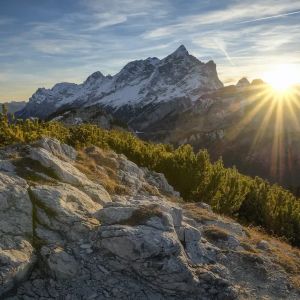 Sonnenaufgang über einem schneebedeckten Bergmassiv mit felsigem Vordergrund und grünen Kiefern im Vordergrund.