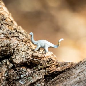 Miniatur-Dinosaurierfigur auf einer grob texturierten Baumrinde in natürlichem Licht.
