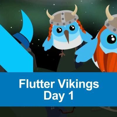Illustration von blauen, Wikinger-ähnlichen Vögeln mit Helmen und roten Zöpfen, die vor einem Nachthimmel schweben; Text „Flutter Vikings Day 1“ im Vordergrund.