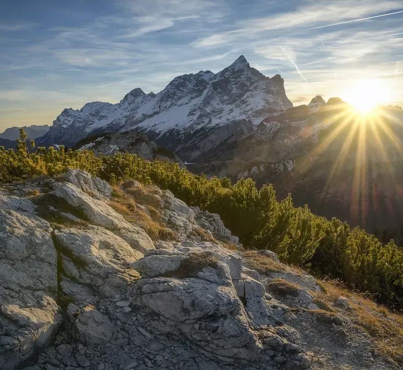 Sonnenaufgang über einem schneebedeckten Bergmassiv mit felsigem Vordergrund und grünen Kiefern im Vordergrund.