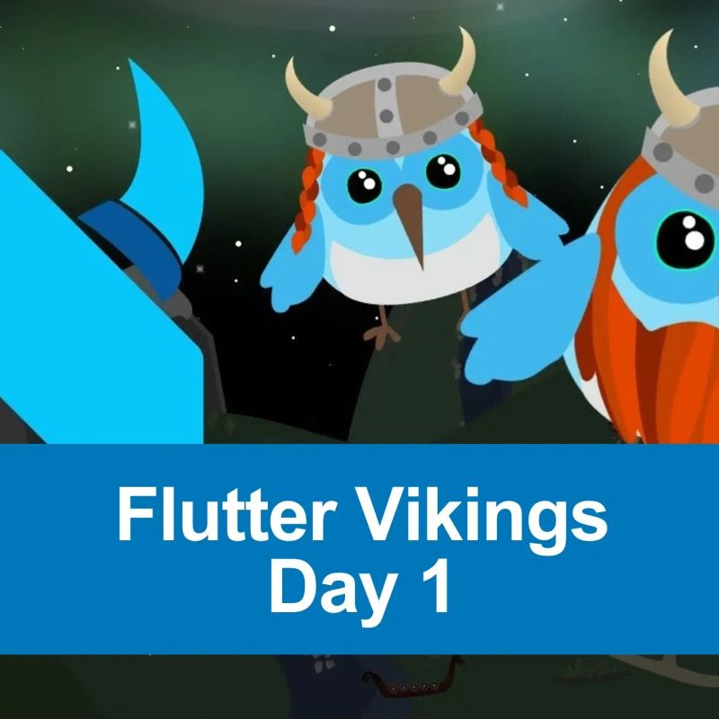 Illustration von blauen, Wikinger-ähnlichen Vögeln mit Helmen und roten Zöpfen, die vor einem Nachthimmel schweben; Text „Flutter Vikings Day 1“ im Vordergrund.