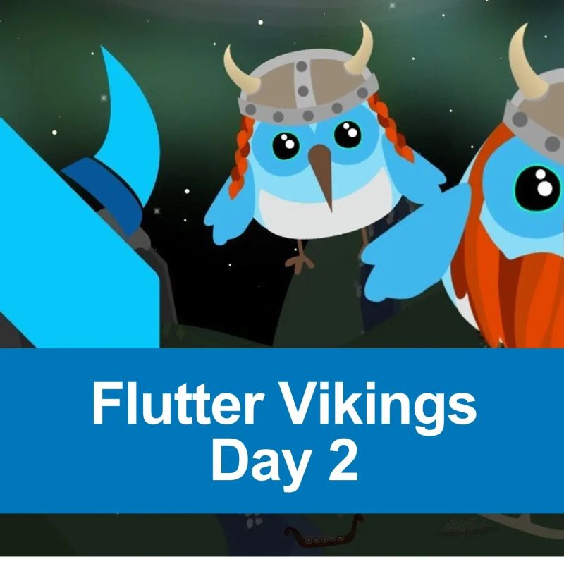 Illustration von drei blauen Vögeln in Wikingerhelmen vor einem Nachthimmel mit dem Text „Flutter Vikings Day 2“.